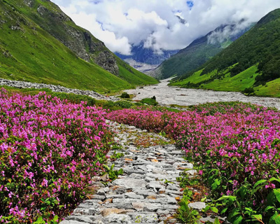 Valley-of-Flowers